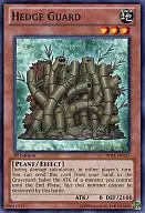 BP01-EN157 [N] : Hedge Guard/Guard Hedge