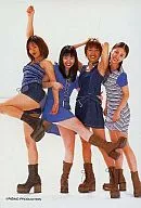 No.51：MAX/集合(4人)/ライジングプロダクション公式ブロマイド