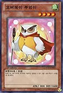 GAOV-KR003 [N] : Overlay Owl