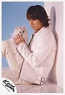 KinKi Kids/堂本光一/膝上，衣服白色，朝左，抱貓，坐，背景水色/官方生寫真