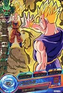 HG2-04 [Rare] : Son Gohan : Adolescence