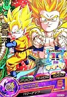 HG2-34[レア]：孫悟天