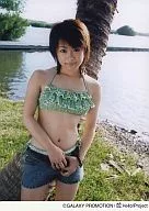 Country Musume. / Asami / Above-the-knee / Costume Swimwear / Green / Denim / Palm Trees / Background Green / 2L size / Official Official photo