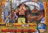 CA 025 W [R] : Piratas de Barba Blanca