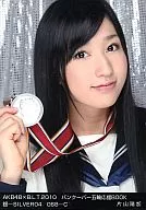 片山阳加/AKB48×B.L.T.2010五轮应援BOOK银-SILVER04/068-C