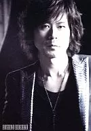 星野英彥/托胸/BUCK-TICK tour2009 memento-mori