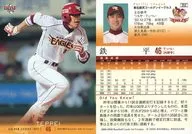352[常规卡]:铁平