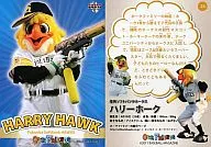 24:Harry Hawk