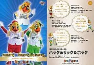 28 : Hack Hawk & Rick Hawk & Hook Hawk