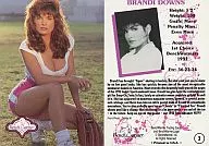 3 : BRANDI DOWNS