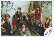 KAT-TUN/6人/横型/背景ジャングルのセット/中丸、木の枝を持つ