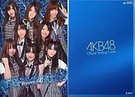 ss-041 : teamB / Rare Card / AKB48 Official Trading Card vol. 1