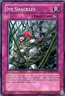 CRMS-EN070 [N] : Ivy Shackles / Ivy Shackle