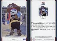 29[常規卡A]:ワルノス