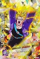 H5-08 [Super Rare] : Trunks : Adolescence