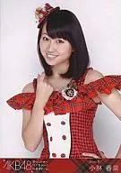 Kana Kobayashi / Waist / Red Check / Alright, let's go! in Seibu Dome special box privilege