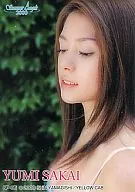 SP-05:坂井优美/Summer Angels 2000集换式卡