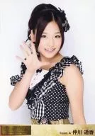 仲川遥香/上半身/DVD｢AKBがいっぱい SUMMER TOUR 2011｣特典