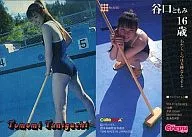 No. 030 : Tomomi Taniguchi / Parallel Card / Lucky Crepu Collection