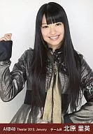 Rie Kitahara / Upper Body / Theater Trading Official photo Set 2012. January