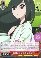 KG/SE07-38[C]:病弱天才锉刀七实