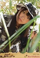 Rie Kitahara / Weekly AKB48 DVD Special Edition Vol. 5 「 Uninhabited Island Survival 」