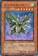 ANPR-JP023[N]：スケイルモース