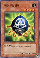 IOC-KR079 [N] : Skull face Tento worm