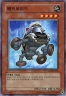 CRV-KR006 [N] : Pathroid