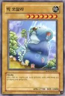 HGP2-KR004 [N] : Big Koala