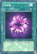 LOB-K042 [N] : Amethyst