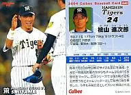 40：桧山 進次郎