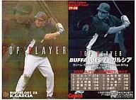 TP-08：ガルシア(格子パラレル仕様)