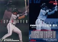 TP-10：小笠原 道大(格子パラレル仕様)