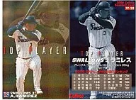 TP-20：ラミレス(格子パラレル仕様)