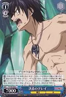FT/S09-086[U]:决议的灰色