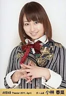 Kana Kobayashi / Hand on Breast / Theater Trading Official photo Set 2011. April