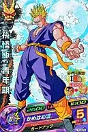 H3-CP3[CP]：孫悟飯：青年期