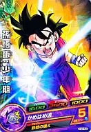 H2-40 [Comum] : Sun Gohan : Infância