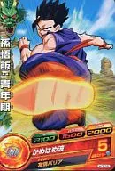 H3-28 [común] : Son Gohan : Adolescente