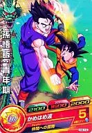 H4-10 Common : Son Gohan : Adolescence