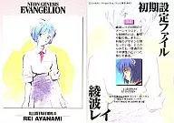 IL4 : Rei Ayanami