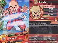 PBC2-05 [P] : Chrysin