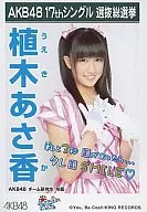 Asako Ueki / "Ponytail to scrunchy" special gift