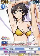 GS/063 [R] : Swimsuit Sleet