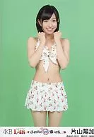 Haruka Katayama (B) swimsuit / PSP-specific game software "AKB1/48 : If you fall in love with idol and Guam." appendix