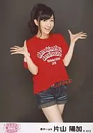 Haruka Katayama / Knee-the knees / full seat festival Pros and cons DVD Special Red T-Shirt