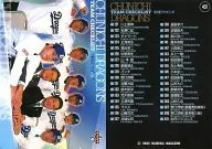 431:中日龙队一览表