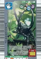 004 Silver : Chalcosoma caucasus