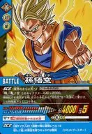 EX-010-II[Promotion]:孙悟空